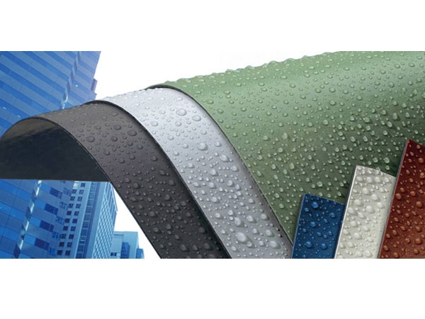 金雨伞PVC防水卷材供应商